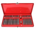Zestaw Bitów Torx, Hex, Spline 40 Części.jpg