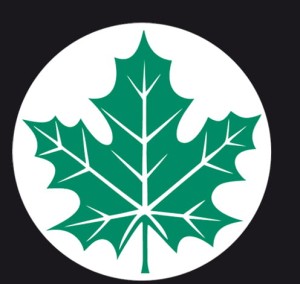 Naklejka zielony listek podlepka