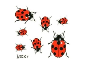 Naklejka auto tattoo biedronki