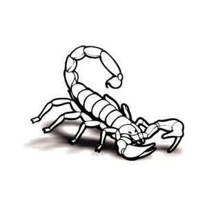 Naklejka auto tattoo 44-skorpion, czarny