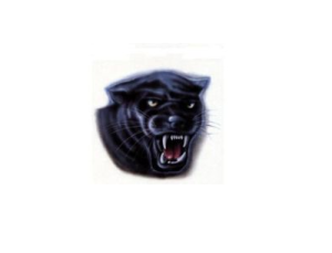 Naklejka pantera duża